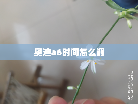 奥迪a6时间怎么调