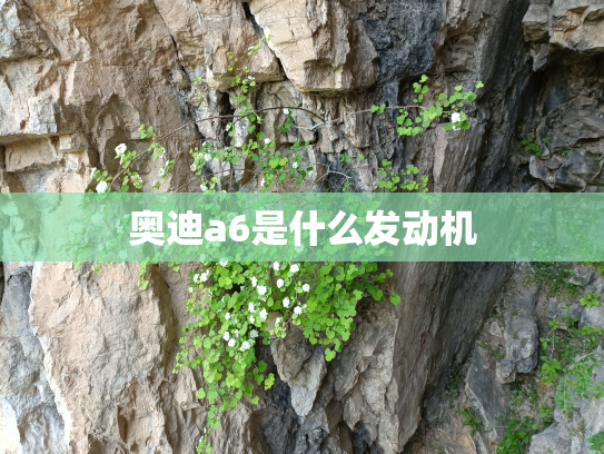 奥迪a6是什么发动机