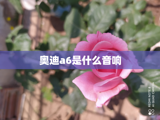奥迪a6是什么音响
