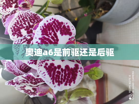 奥迪a6是前驱还是后驱