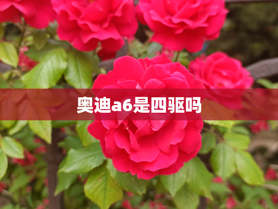 奥迪a6是四驱吗