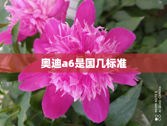 奥迪a6是国几标准