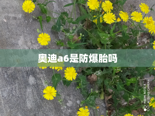 奥迪a6是防爆胎吗