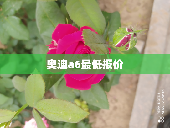 奥迪a6最低报价