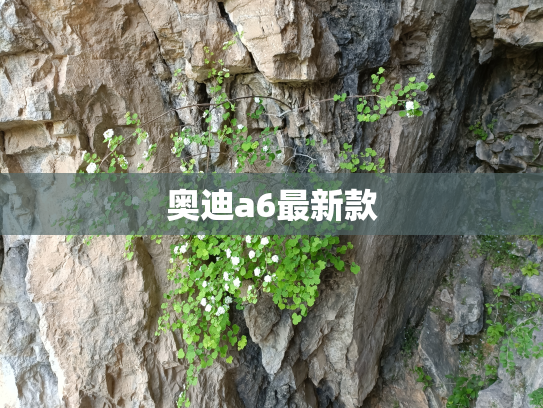 奥迪a6最新款