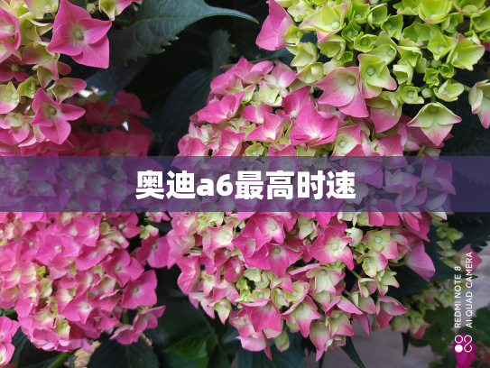 奥迪a6最高时速