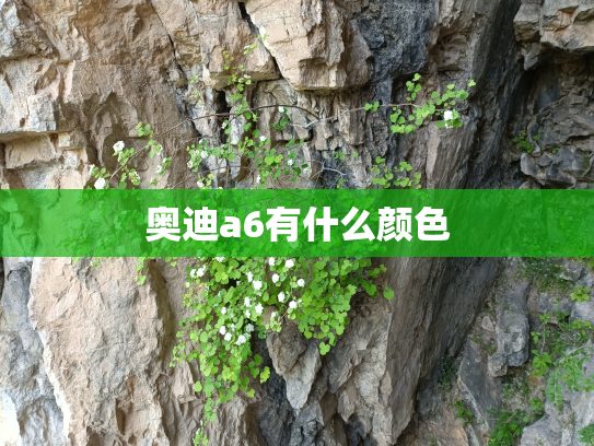 奥迪a6有什么颜色