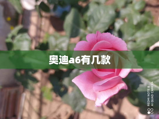 奥迪a6有几款