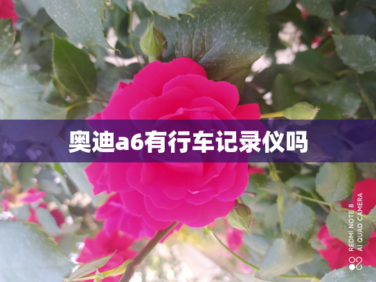 奥迪a6有行车记录仪吗
