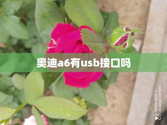 奥迪a6有usb接口吗