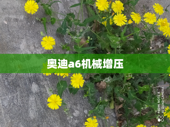 奥迪a6机械增压