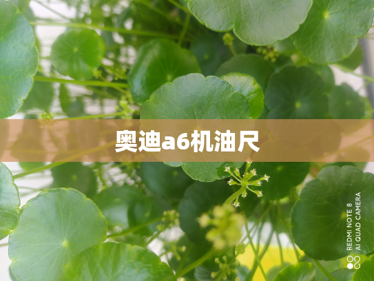奥迪a6机油尺