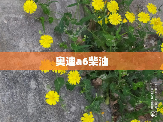 奥迪a6柴油