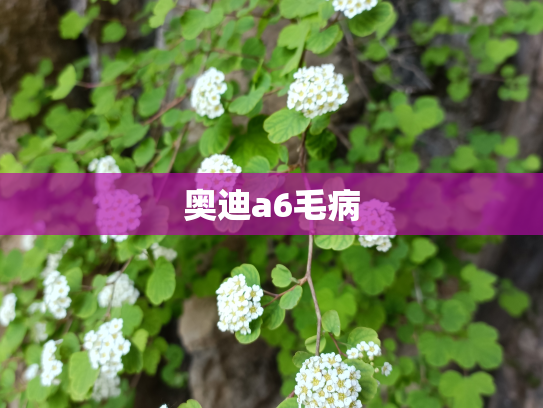奥迪a6毛病