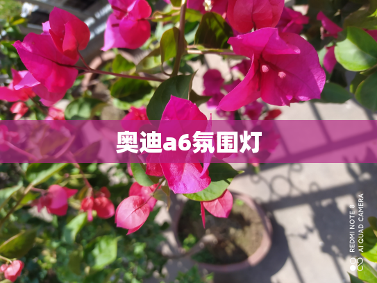奥迪a6氛围灯