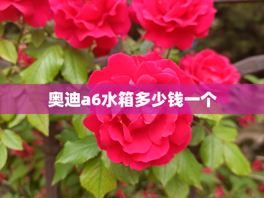 奥迪a6水箱多少钱一个