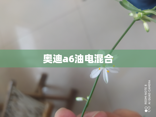 奥迪a6油电混合