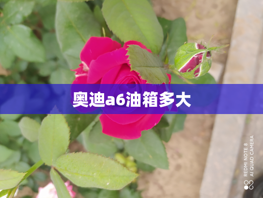 奥迪a6油箱多大