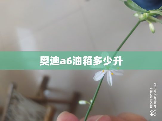 奥迪a6油箱多少升
