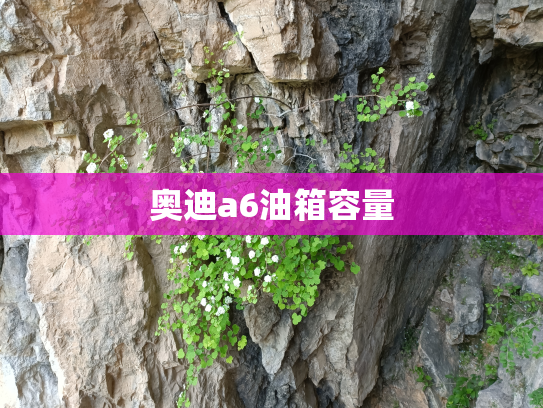 奥迪a6油箱容量