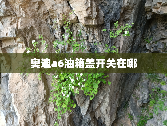 奥迪a6油箱盖开关在哪