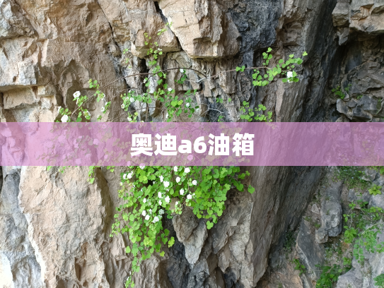 奥迪a6油箱