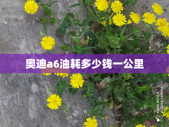 奥迪a6油耗多少钱一公里