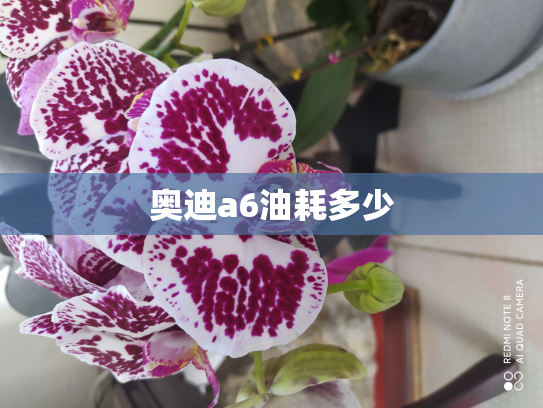 奥迪a6油耗多少