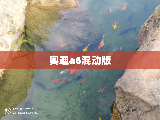 奥迪a6混动版