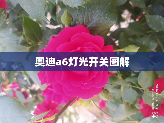 奥迪a6灯光开关图解