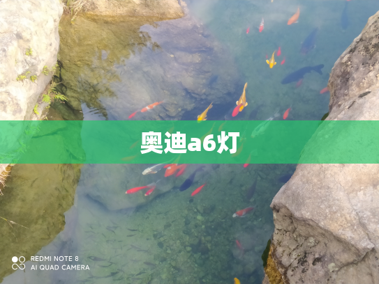 奥迪a6灯