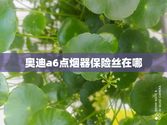 奥迪a6点烟器保险丝在哪