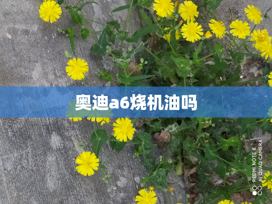 奥迪a6烧机油吗