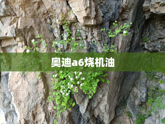 奥迪a6烧机油