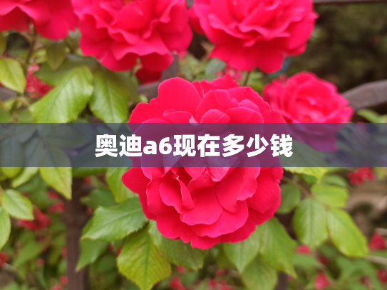 奥迪a6现在多少钱