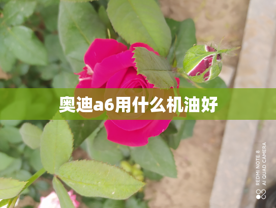 奥迪a6用什么机油好