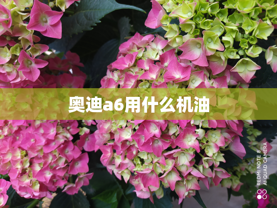 奥迪a6用什么机油