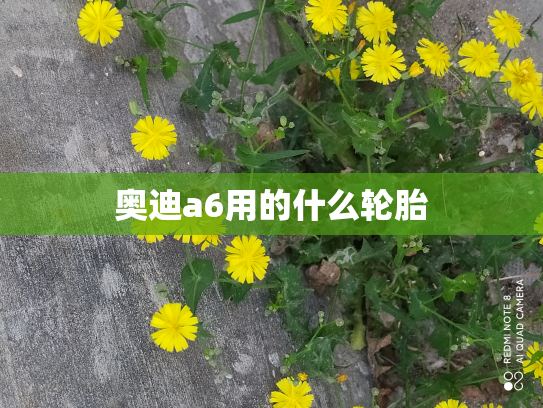 奥迪a6用的什么轮胎