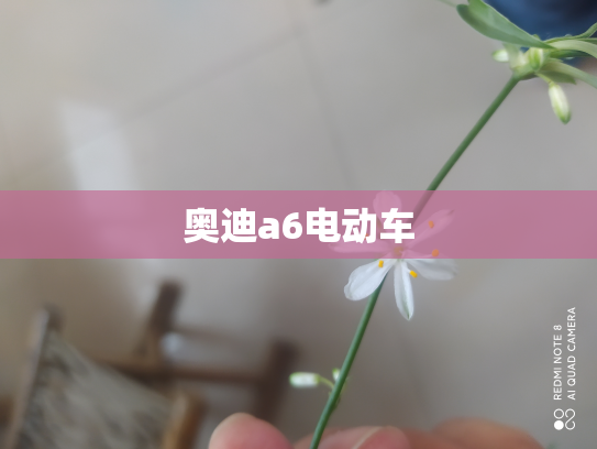 奥迪a6电动车
