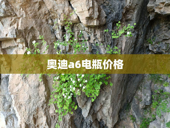 奥迪a6电瓶价格