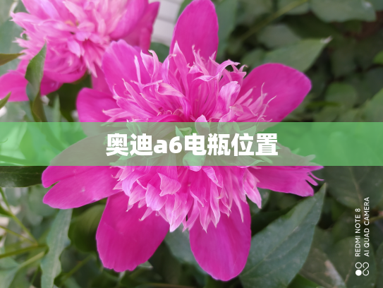 奥迪a6电瓶位置