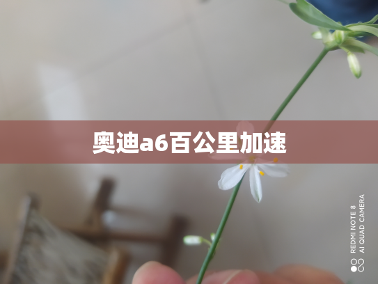 奥迪a6百公里加速