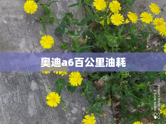 奥迪a6百公里油耗