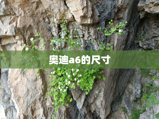奥迪a6的尺寸
