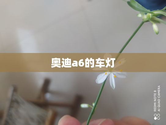 奥迪a6的车灯