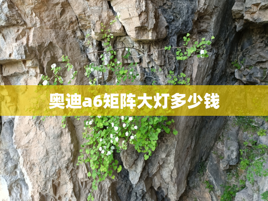 奥迪a6矩阵大灯多少钱