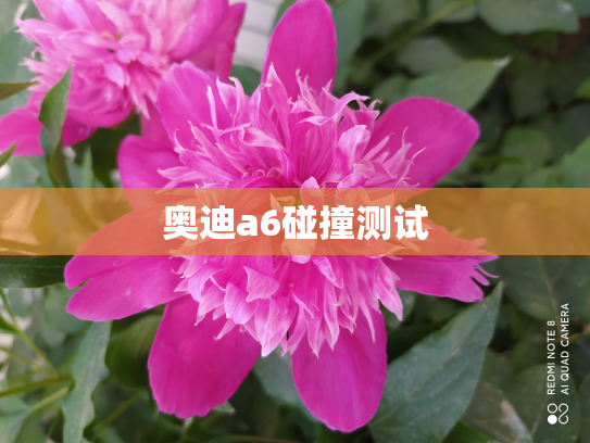 奥迪a6碰撞测试
