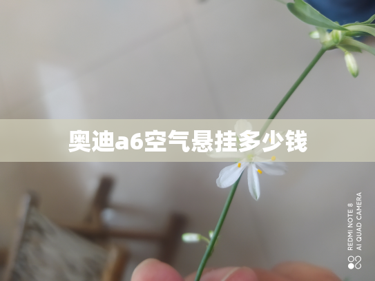 奥迪a6空气悬挂多少钱