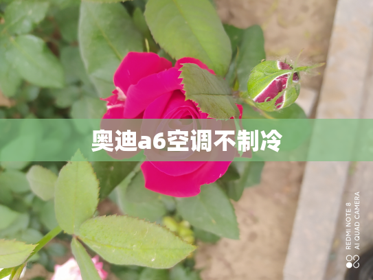 奥迪a6空调不制冷