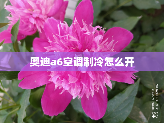 奥迪a6空调制冷怎么开
